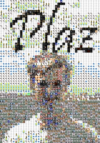 Plaz GridView Mosaic.png